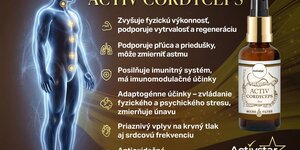 Existuje přirozený zdroj energie, imunity a vitality?